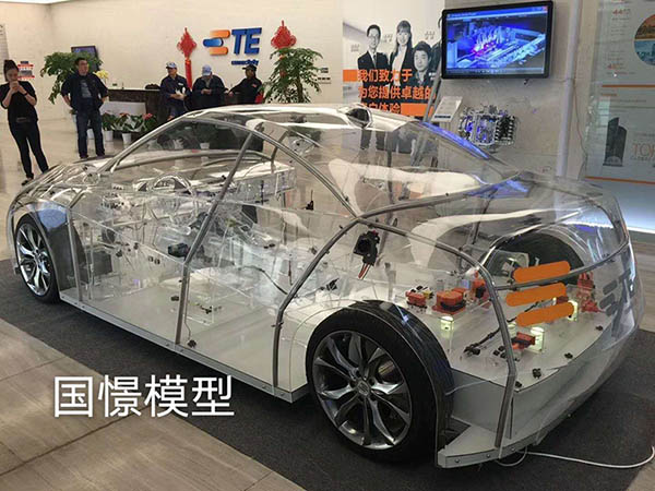 隆化县透明车模型